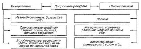 Возможные проблемы и риски при использовании биоматериалов